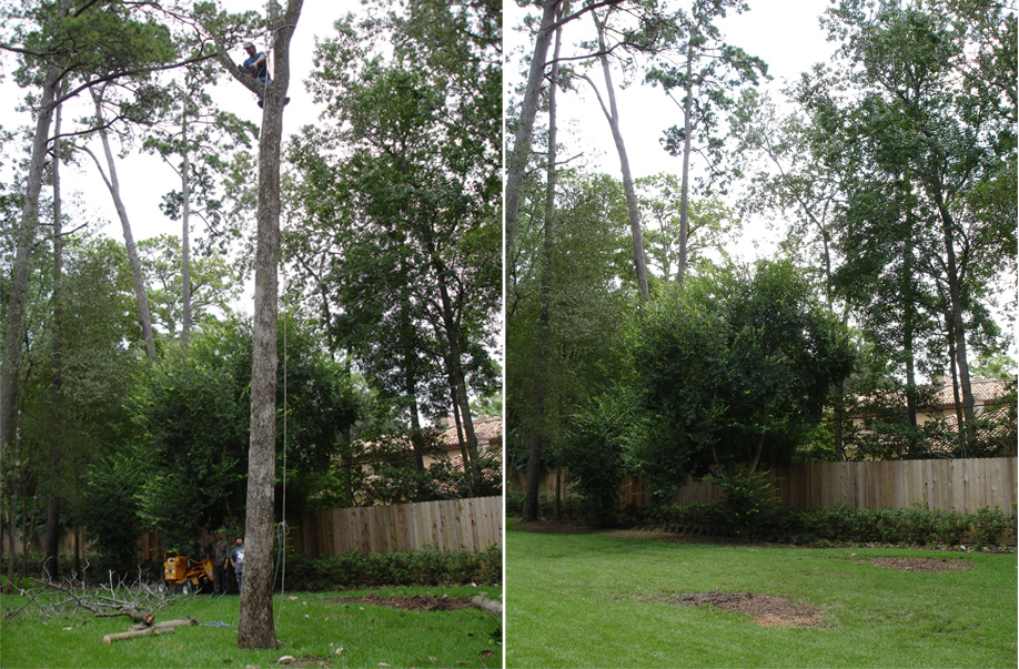 before and after